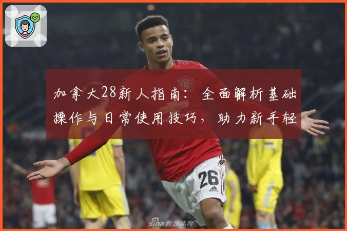 加拿大28新人指南：全面解析基础操作与日常使用技巧，助力新手轻松入门