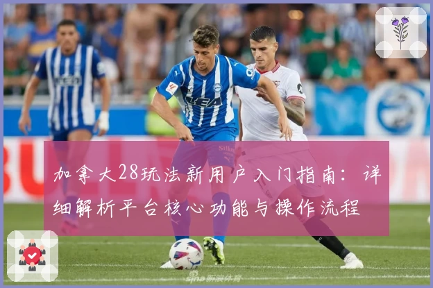 加拿大28玩法新用户入门指南：详细解析平台核心功能与操作流程