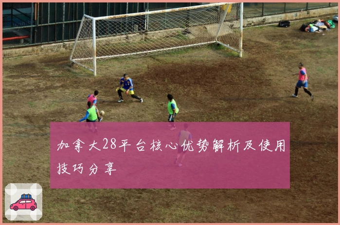 加拿大28平台核心优势解析及使用技巧分享