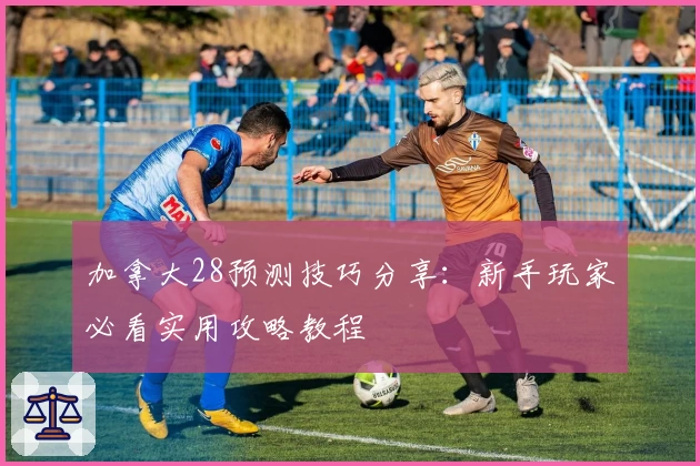 加拿大28预测技巧分享：新手玩家必看实用攻略教程