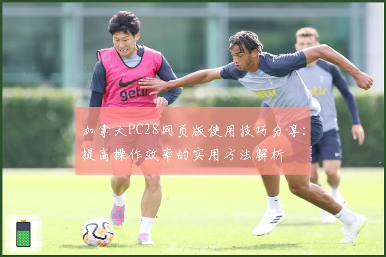 加拿大PC28网页版使用技巧分享：提高操作效率的实用方法解析