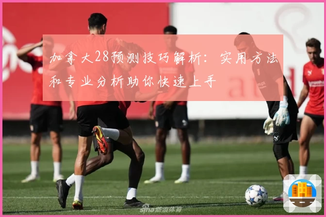 加拿大28预测技巧解析：实用方法和专业分析助你快速上手