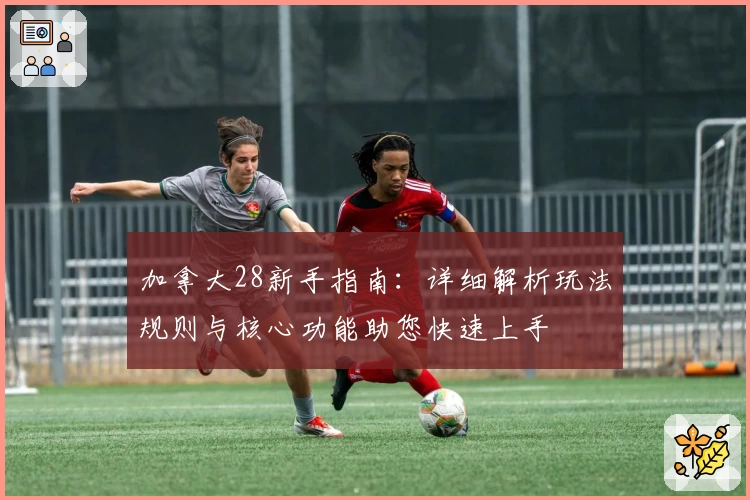 加拿大28新手指南：详细解析玩法规则与核心功能助您快速上手