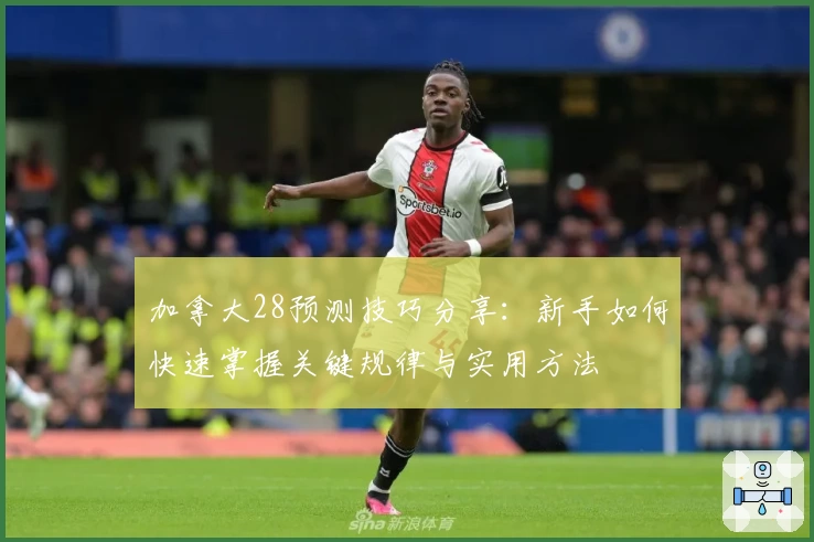 加拿大28预测技巧分享：新手如何快速掌握关键规律与实用方法