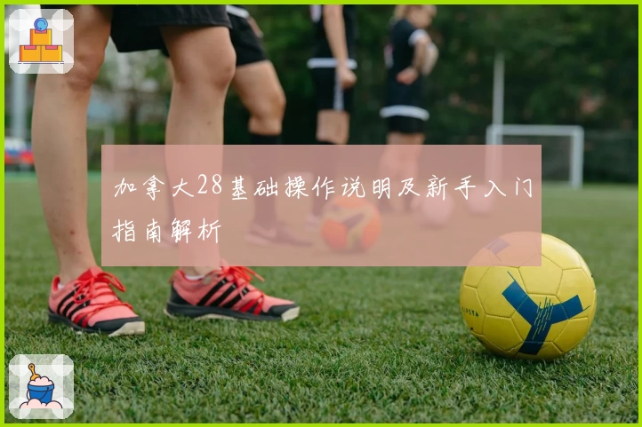 加拿大28基础操作说明及新手入门指南解析