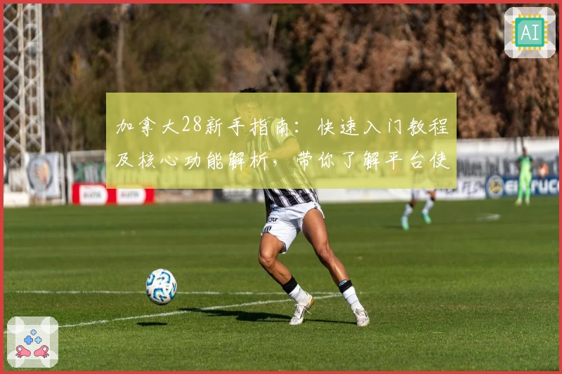 加拿大28新手指南：快速入门教程及核心功能解析，带你了解平台使用技巧